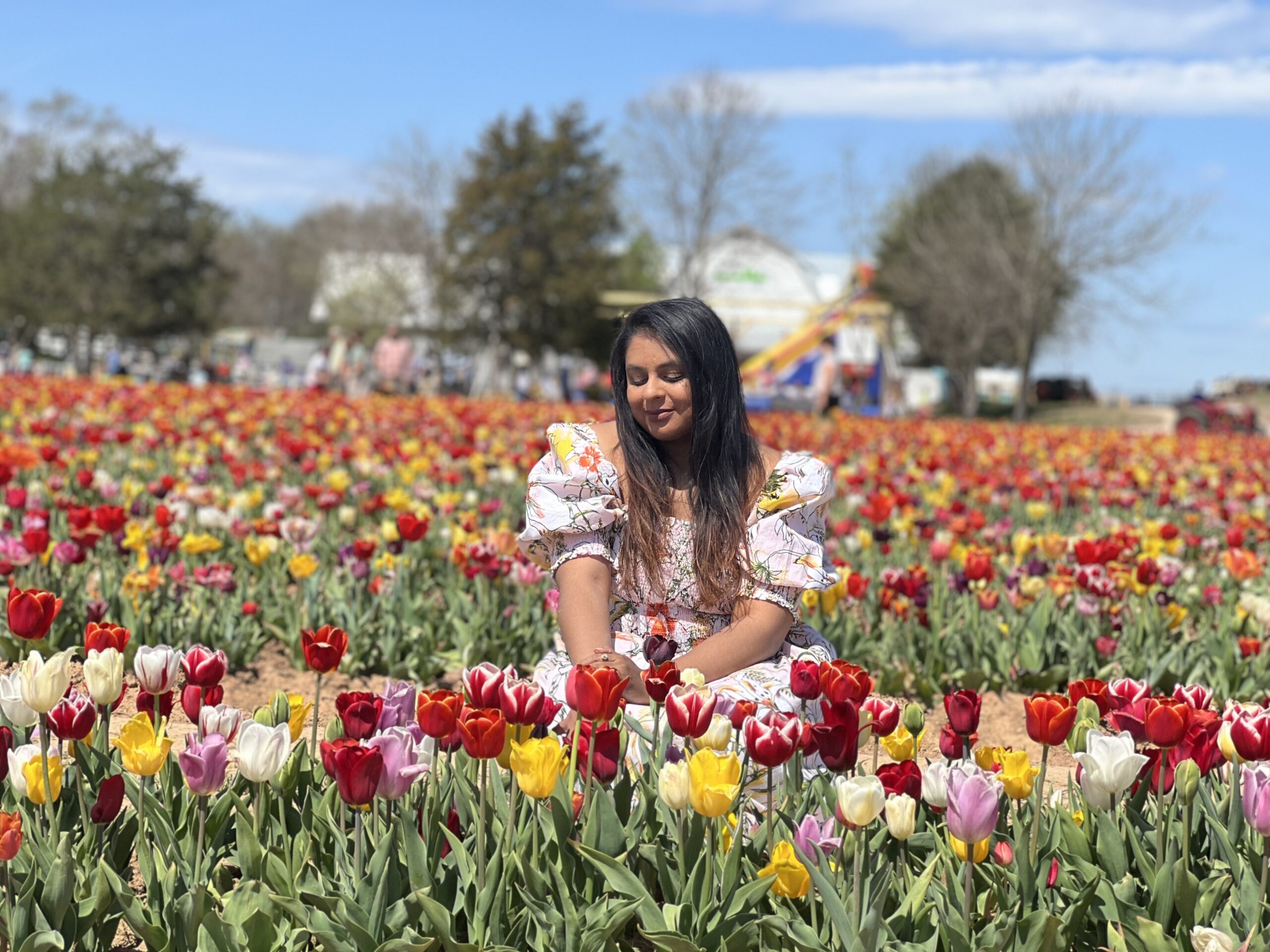 Tranquil Tulips and Stunning Sunflowers at Burnside Farms